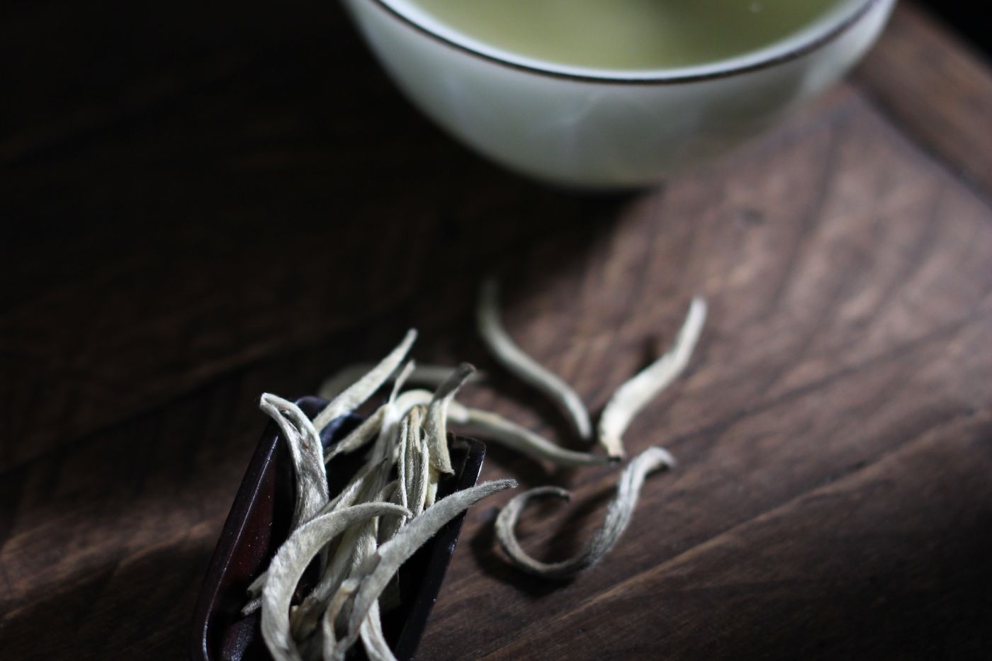木板上藝術排列的白茶芽葉與一杯茶湯,呼應白毫銀針滿披白毫的芽頭 | White tea buds and leaves artfully arranged on a wooden board with a cup, echoing the downy buds of silver needle