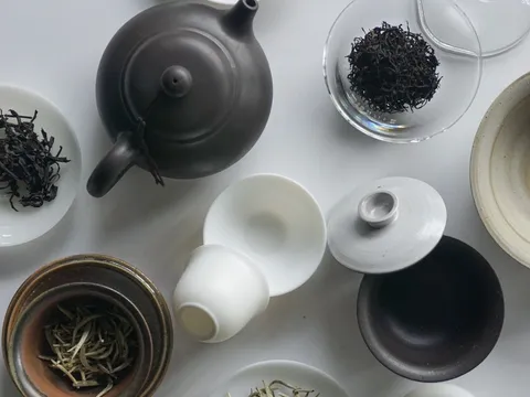福鼎白茶與政和白茶：產區、工藝與風味對比