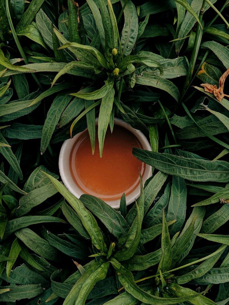 杯泡法