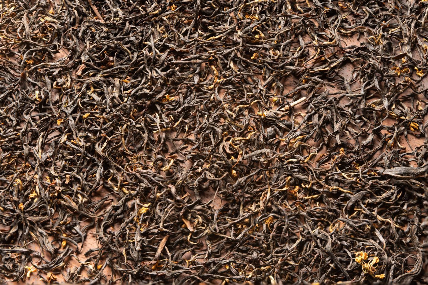 有機散裝紅茶的細節特寫,條索緊細色澤烏潤 | Close-up of organic loose-leaf black tea, fine twisted leaves in dark lustrous color