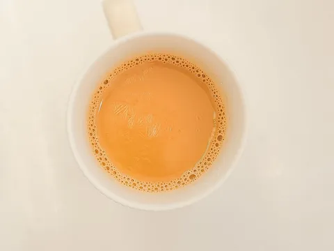 白茶歲月：陳年老白的收藏與品飲