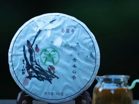 普洱茶 vs 烏龍茶:哪種更適合你?
